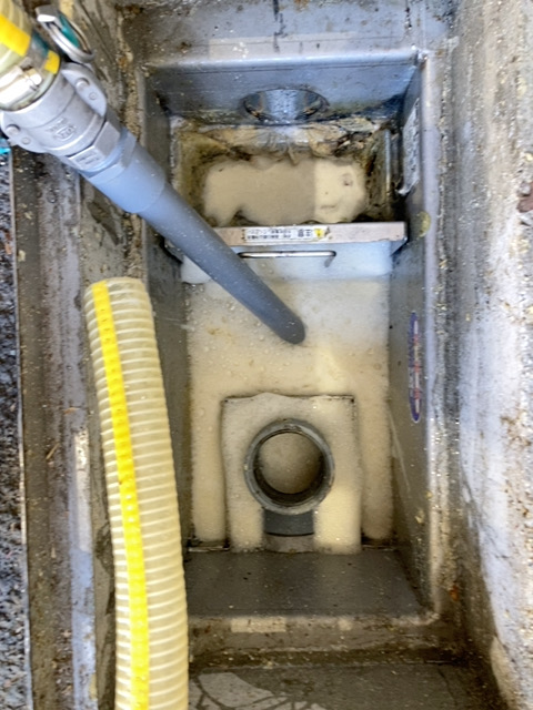 油脂の固形化が進んでしまうと・・？(悪臭/害虫/厨房環境の悪化)